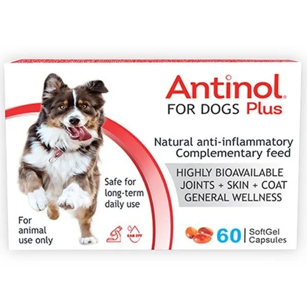 Antinol Plus pentru CAINI, 60 capsule